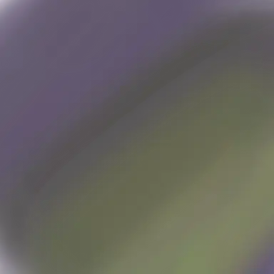 Profile image of 剣持刀也