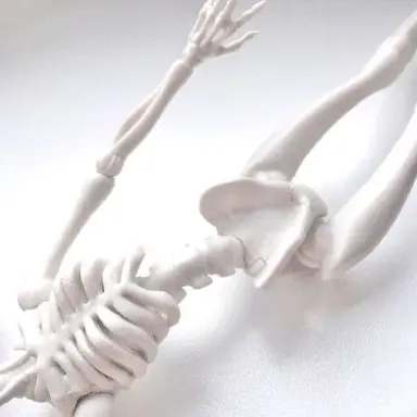 Profile image of 서