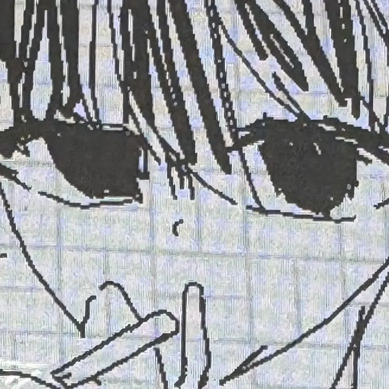 FeebleFluff6859의 .