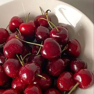 Profile image of ちょる