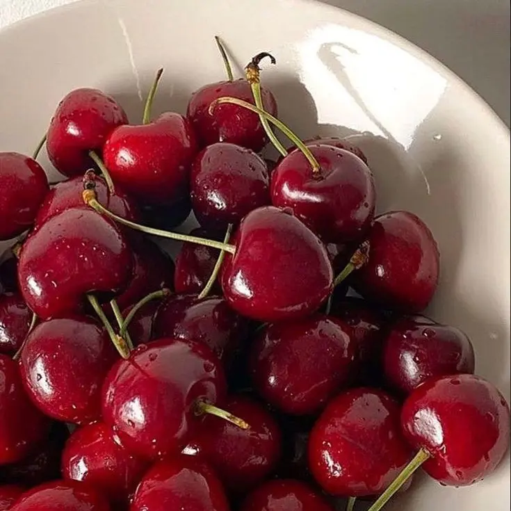 seventeen_s2의 自慢のおにいちゃん