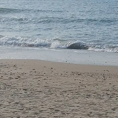 Profile image of 놀리