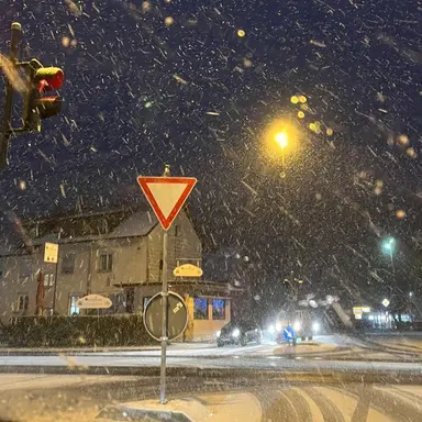 Profile image of 김민정