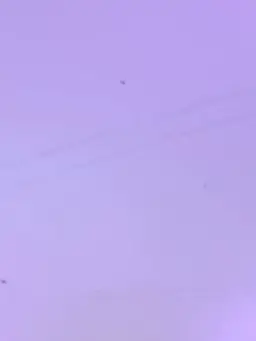 Toretate04의 メイプル