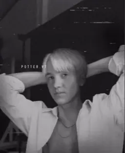 Profile image of Draco
