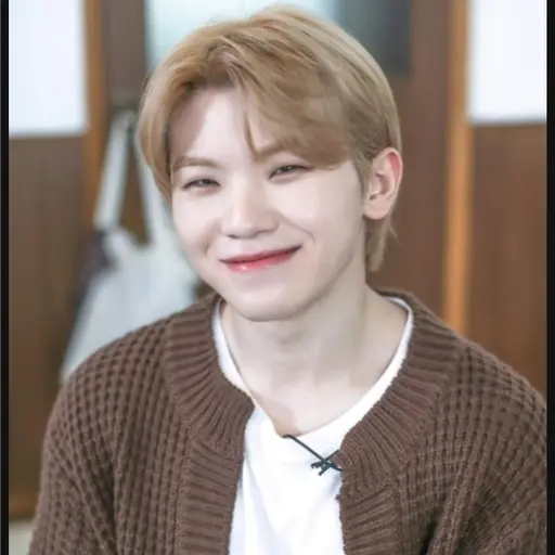 FabricRupee7902의 우지 (세븐틴)