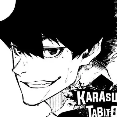 Profile image of 카라스 타비토