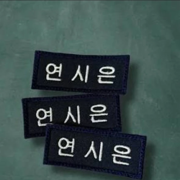 연시은