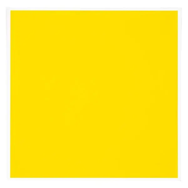 GoldenPoco1013의 💛