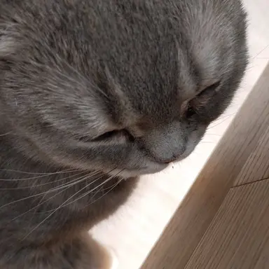 Profile image of 유기사