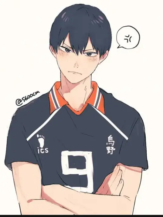 OvalTree0950의 アイドル影山飛雄