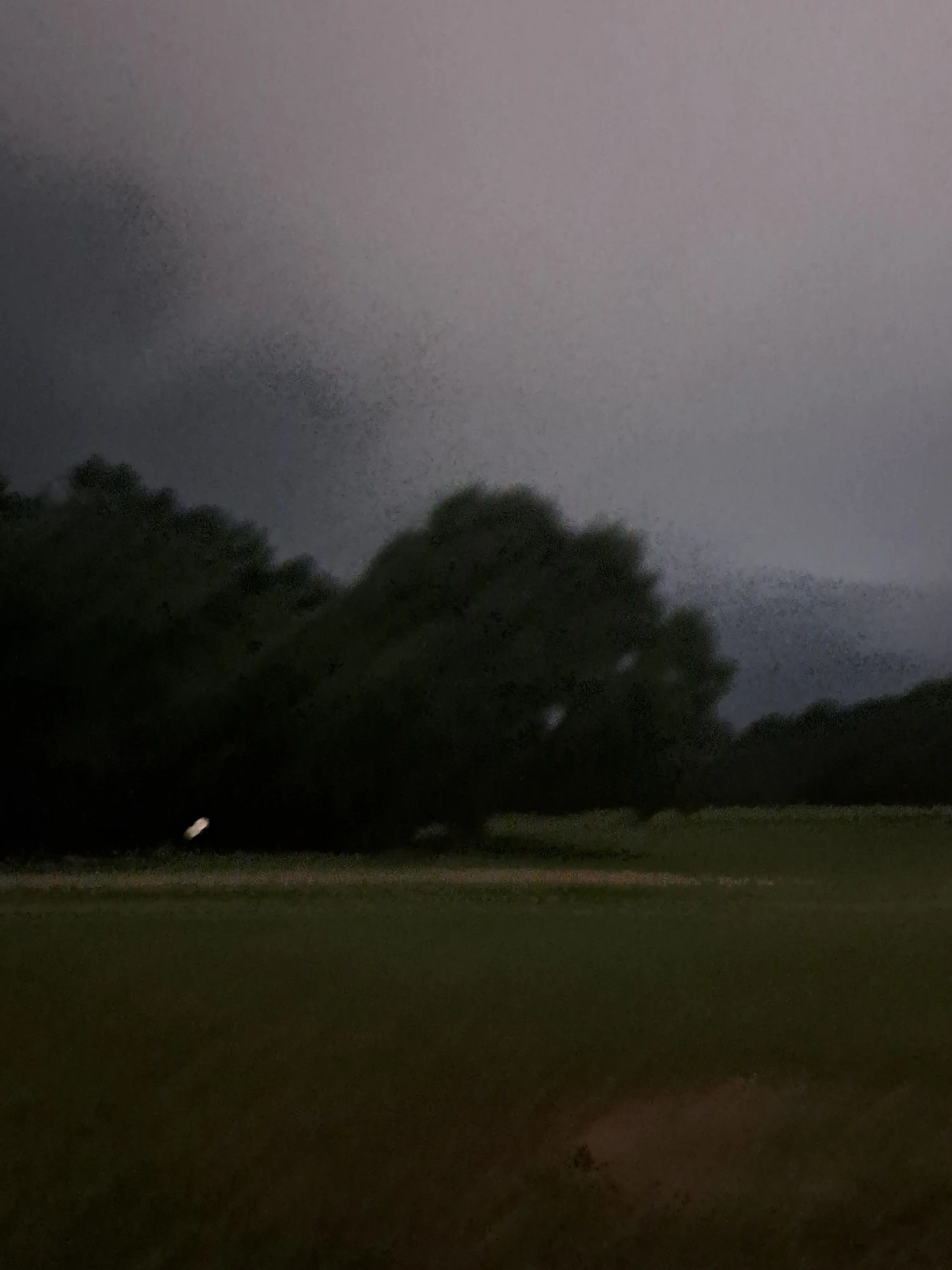 WindyMole9043의 그 여름, 우리는 실종되었다.