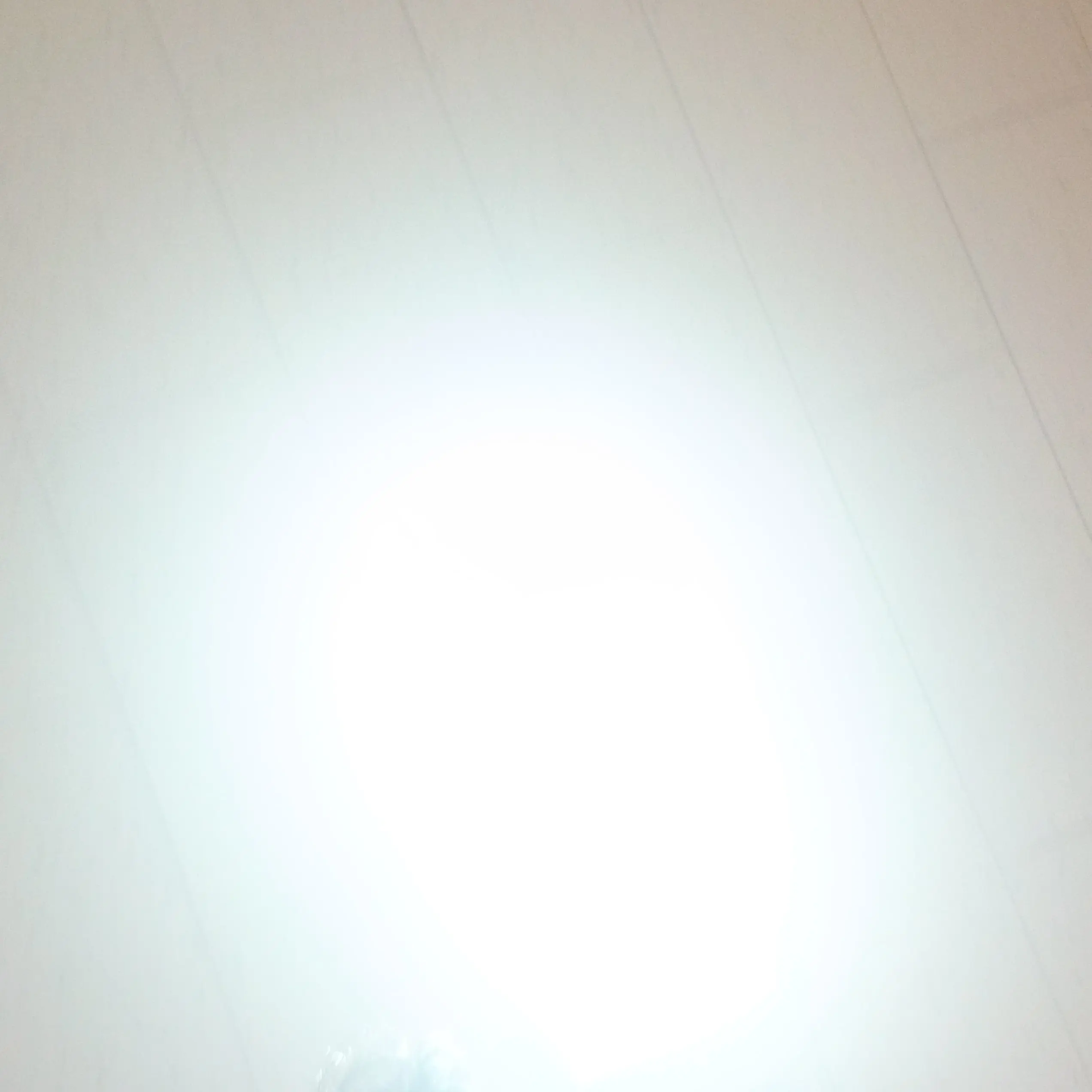 GaudyPig3632의 김승민