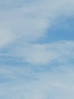 11111111111111111111111의 神様の子孫の子供