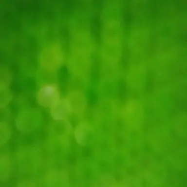Profile image of 능력자들