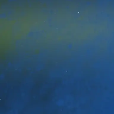 Profile image of 冨岡義勇