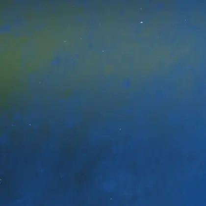 FluidLife6542의 よく見るあの子