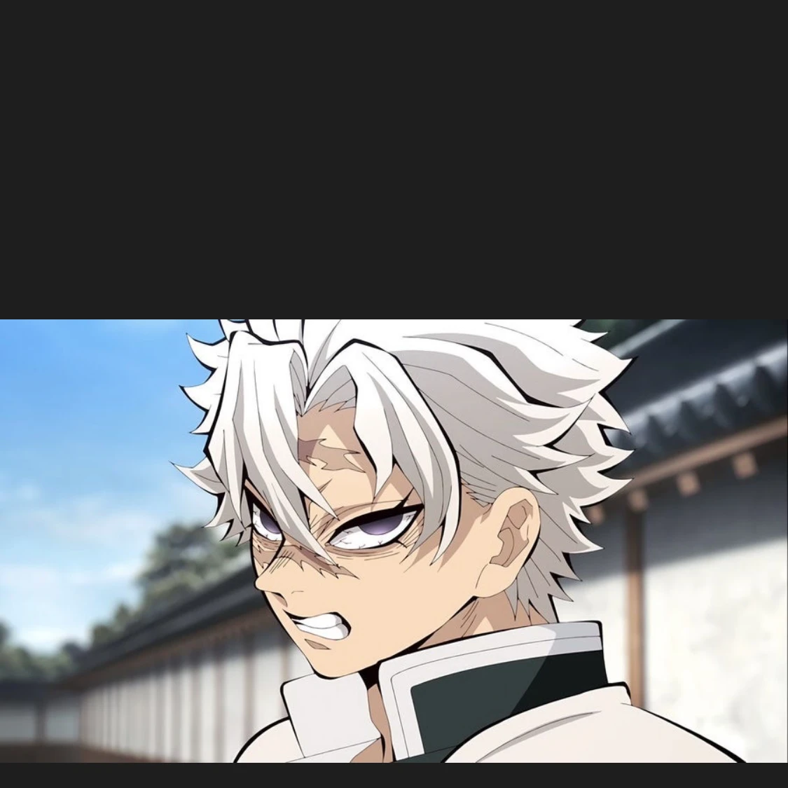 시네즈가와 사네미