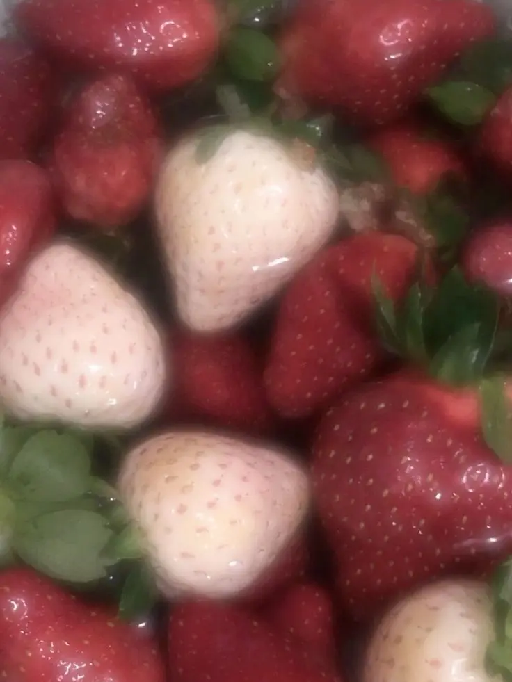 ILLITIroha의 ただの幼馴染だったはず...！