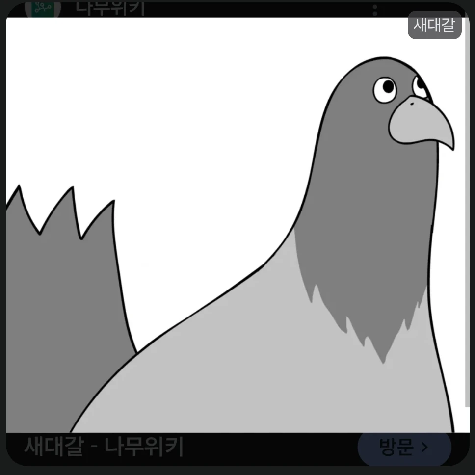 새대갈