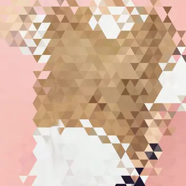 Profile image of 요시키 츠바사