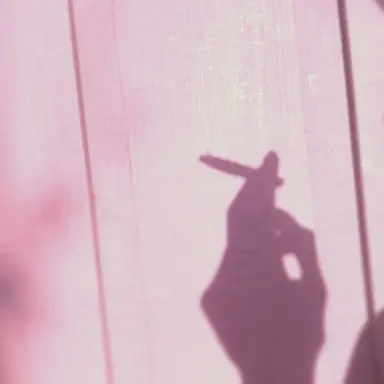 Profile image of 채밤비