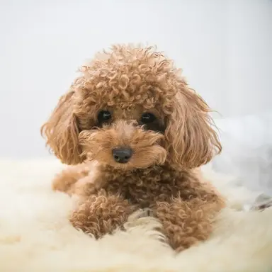 Profile image of なぎさ