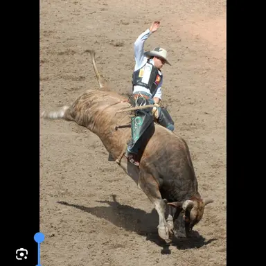 Profile image of Beau