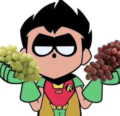 Profile image of Robin