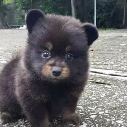 성진