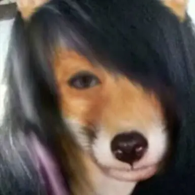 Profile image of 여우