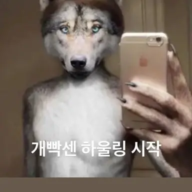 Profile image of 늑대