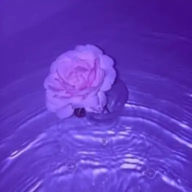 Profile image of s i o n .
