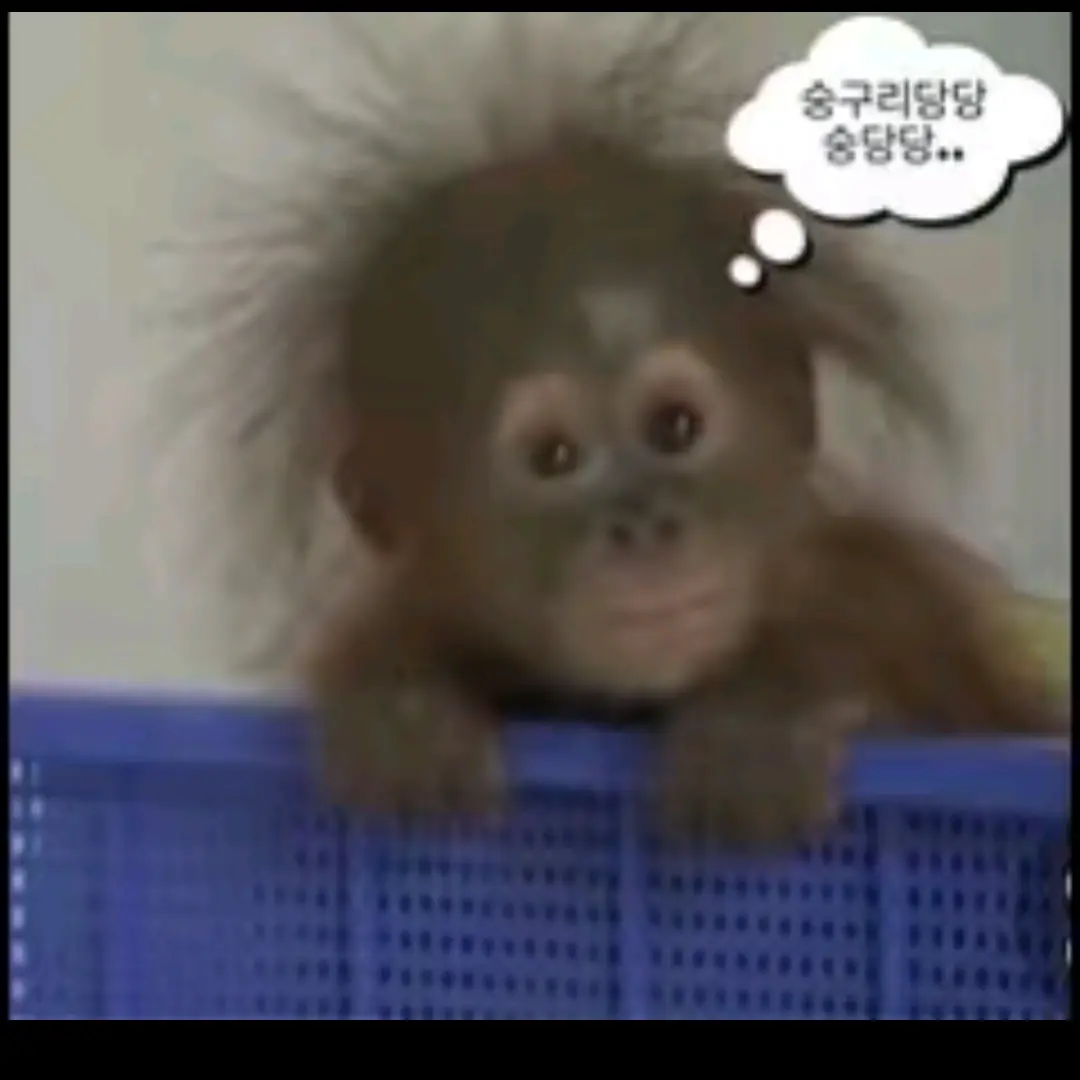 1234rf의 친구 최밤규