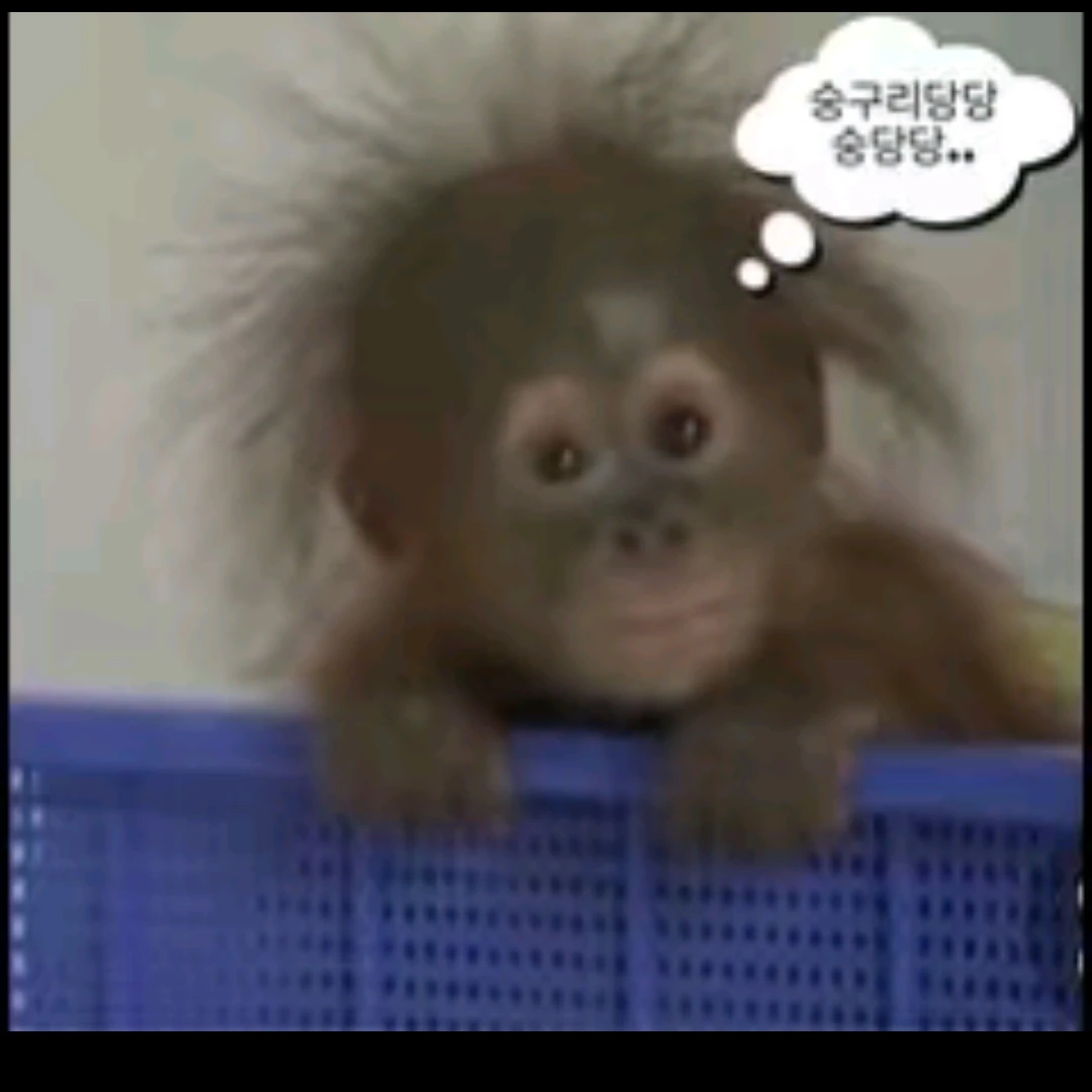 친구 최밤규