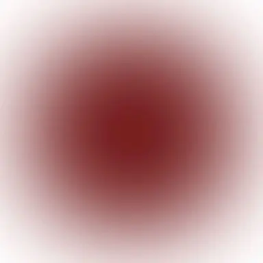 Profile image of 花京院