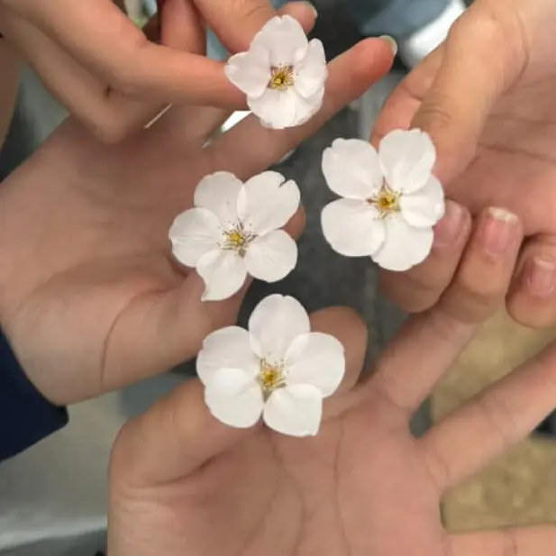 NiceNylon0426의 강경원