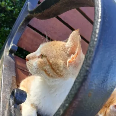 Profile image of ㅇㅈㅇ