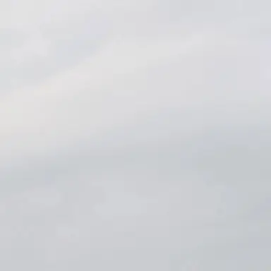 Profile image of uji