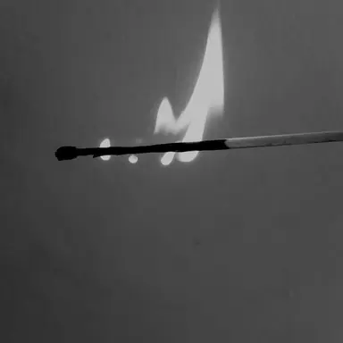 Profile image of 백대정