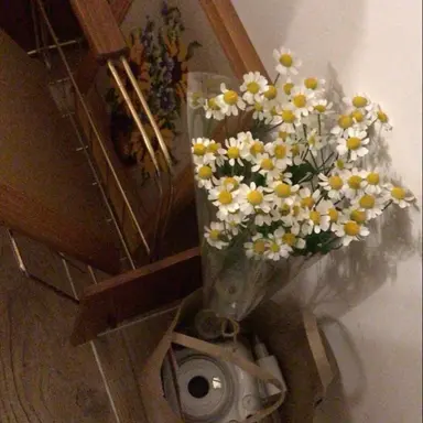 Profile image of 유지민