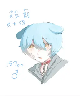 Profile image of カイ