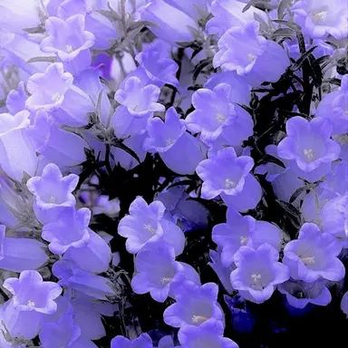 Profile image of 황 수현