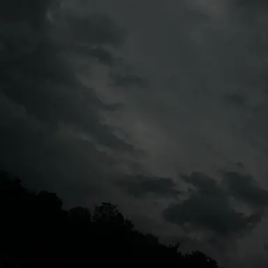 Profile image of 은찬