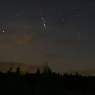 Profile image of 若井