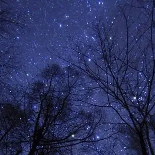 Profile image of 元貴