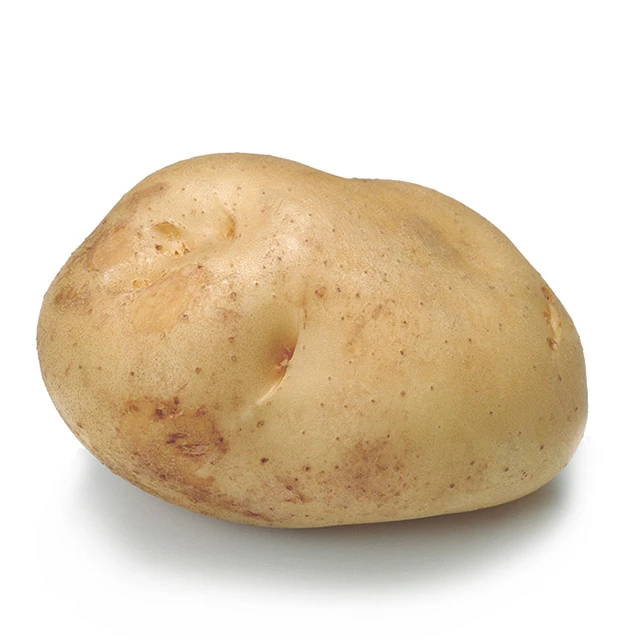빵요시
