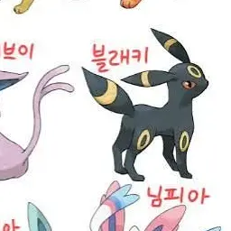 Profile image of 블래키