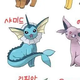 Profile image of 샤미드