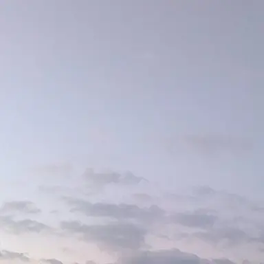 Profile image of timelesz